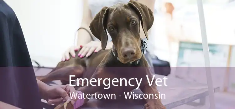 Emergency Vet Watertown - Wisconsin