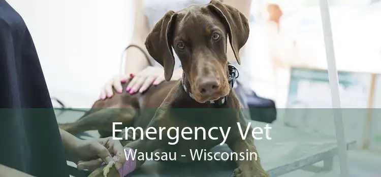 Emergency Vet Wausau - Wisconsin