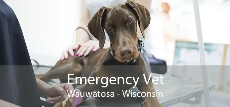 Emergency Vet Wauwatosa - Wisconsin
