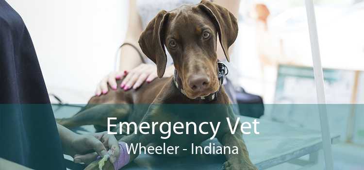 Emergency Vet Wheeler - Indiana