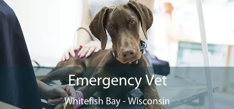 Emergency Vet Whitefish Bay - Wisconsin