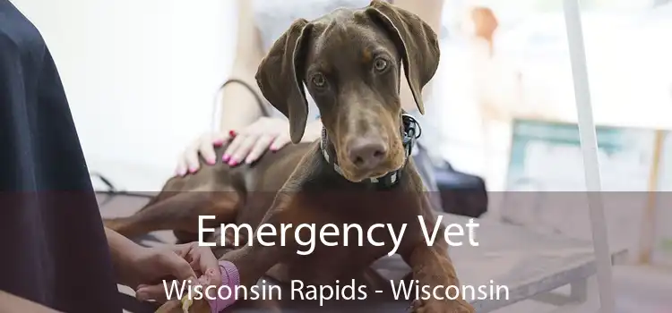 Emergency Vet Wisconsin Rapids - Wisconsin
