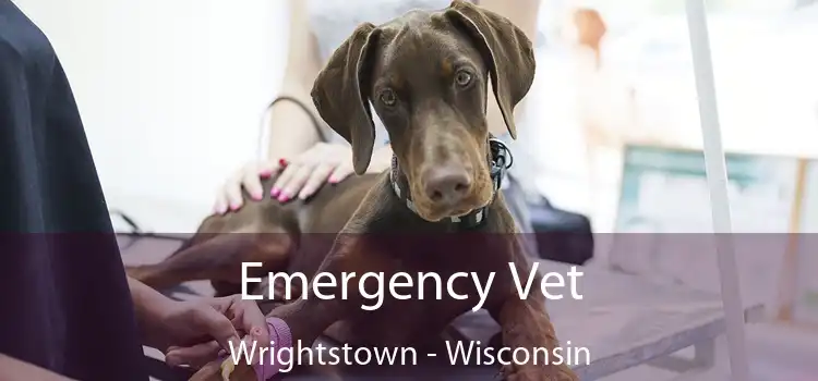 Emergency Vet Wrightstown - Wisconsin
