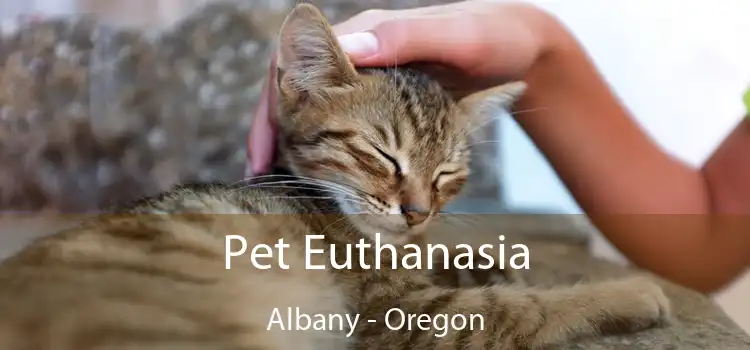 Pet Euthanasia Albany - Oregon