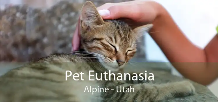 Pet Euthanasia Alpine - Utah