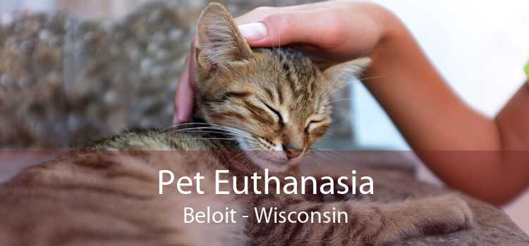 Pet Euthanasia Beloit - Wisconsin