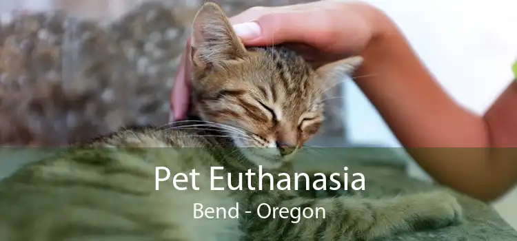 Pet Euthanasia Bend - Oregon