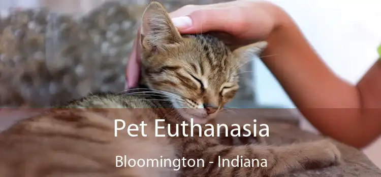 Pet Euthanasia Bloomington - Indiana