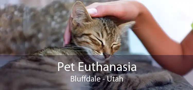 Pet Euthanasia Bluffdale - Utah