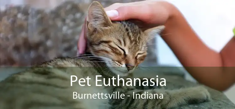 Pet Euthanasia Burnettsville - Indiana