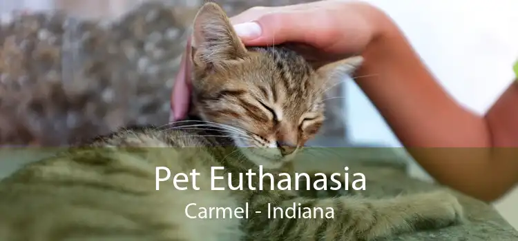 Pet Euthanasia Carmel - Indiana