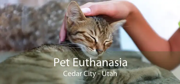 Pet Euthanasia Cedar City - Utah