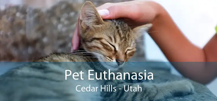Pet Euthanasia Cedar Hills - Utah