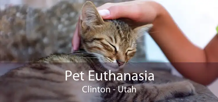 Pet Euthanasia Clinton - Utah