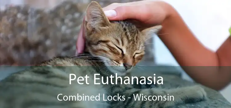Pet Euthanasia Combined Locks - Wisconsin