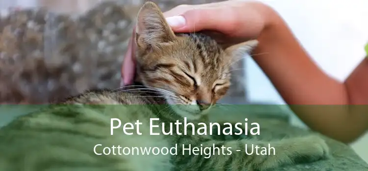 Pet Euthanasia Cottonwood Heights - Utah