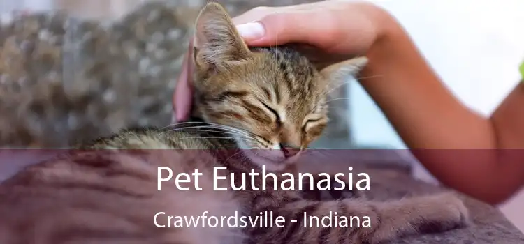 Pet Euthanasia Crawfordsville - Indiana