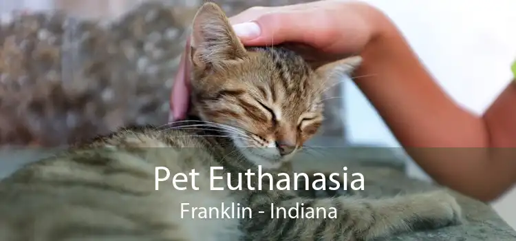 Pet Euthanasia Franklin - Indiana