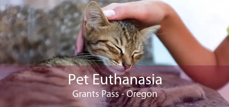 Pet Euthanasia Grants Pass - Oregon