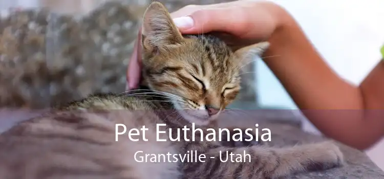 Pet Euthanasia Grantsville - Utah