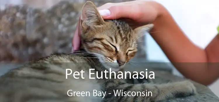 Pet Euthanasia Green Bay - Wisconsin