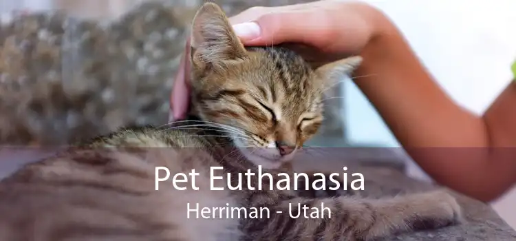 Pet Euthanasia Herriman - Utah