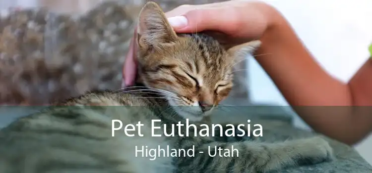 Pet Euthanasia Highland - Utah