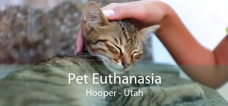 Pet Euthanasia Hooper - Utah