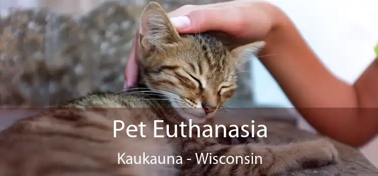 Pet Euthanasia Kaukauna - Wisconsin