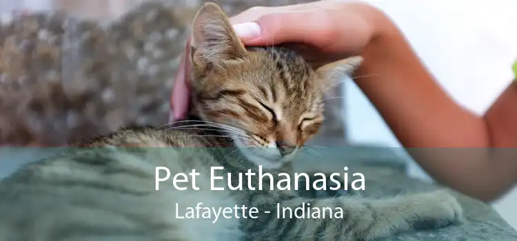 Pet Euthanasia Lafayette - Indiana