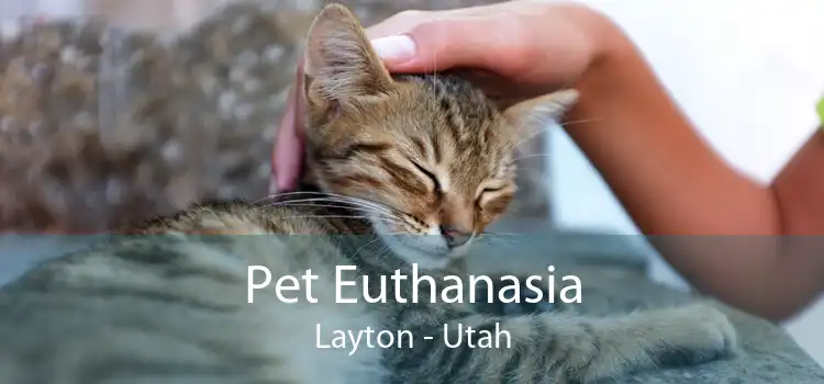 Pet Euthanasia Layton - Utah