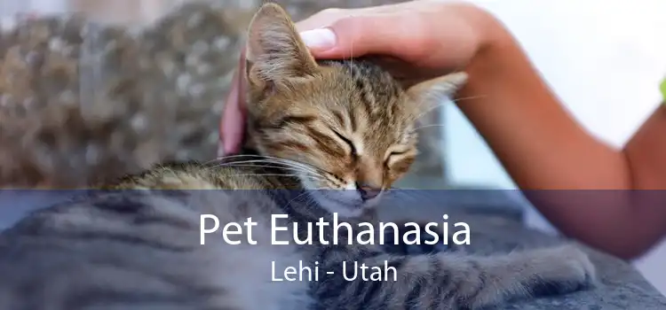 Pet Euthanasia Lehi - Utah