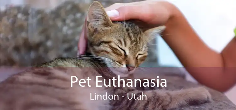 Pet Euthanasia Lindon - Utah