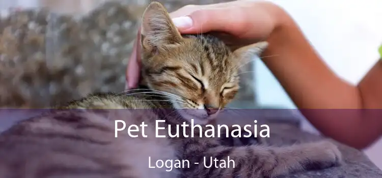 Pet Euthanasia Logan - Utah