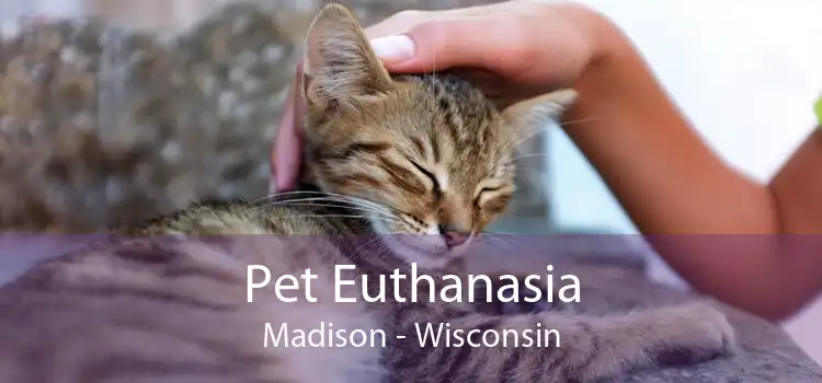 Pet Euthanasia Madison - Wisconsin