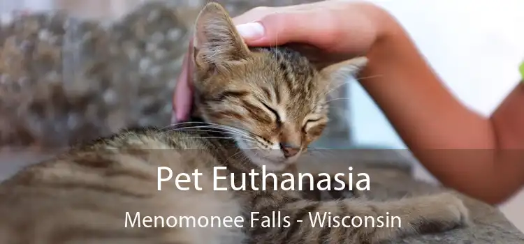 Pet Euthanasia Menomonee Falls - Wisconsin