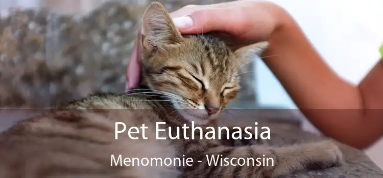 Pet Euthanasia Menomonie - Wisconsin