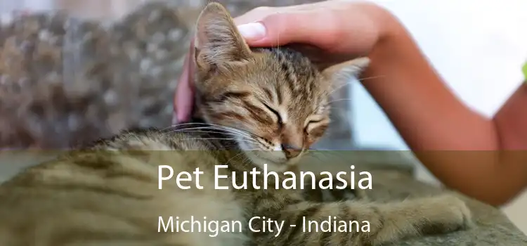 Pet Euthanasia Michigan City - Indiana