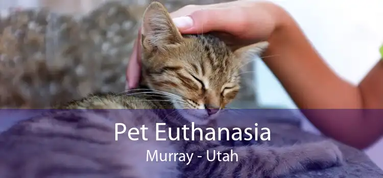 Pet Euthanasia Murray - Utah