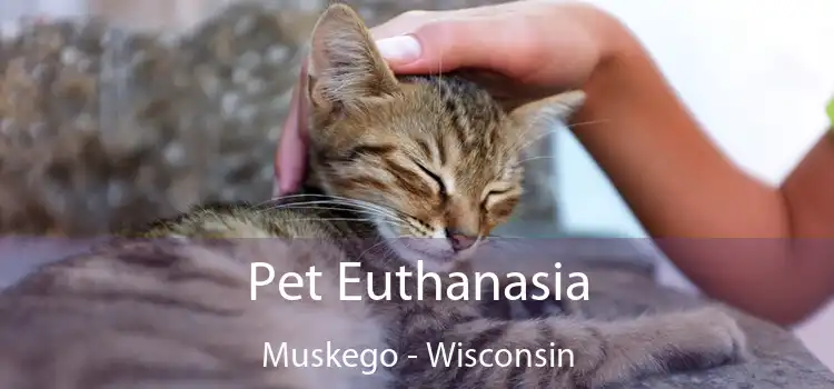 Pet Euthanasia Muskego - Wisconsin