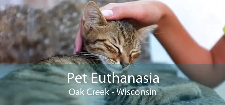 Pet Euthanasia Oak Creek - Wisconsin