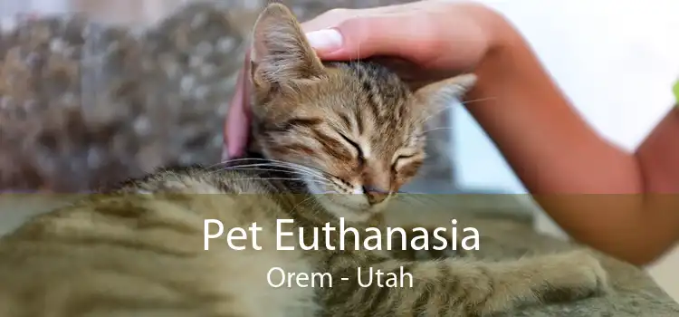 Pet Euthanasia Orem - Utah