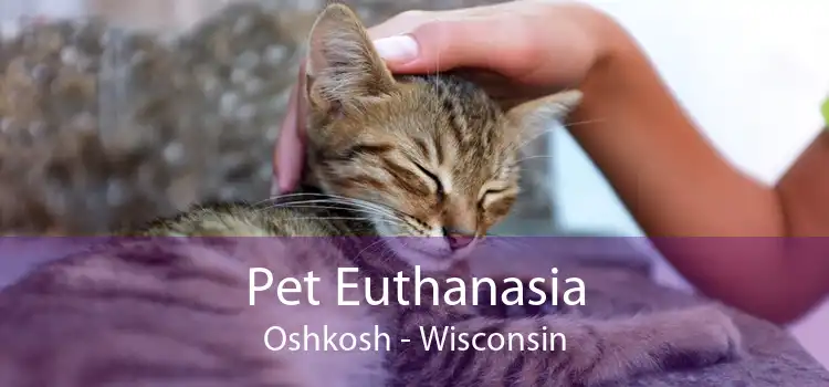 Pet Euthanasia Oshkosh - Wisconsin