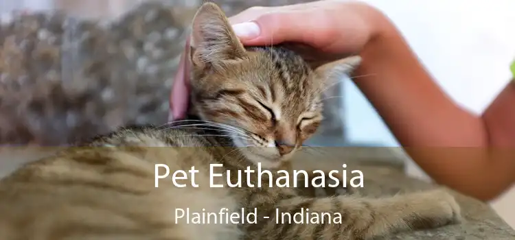 Pet Euthanasia Plainfield - Indiana
