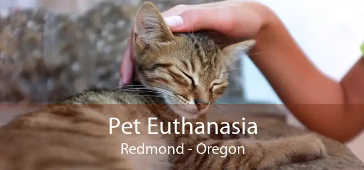 Pet Euthanasia Redmond - Oregon