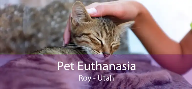 Pet Euthanasia Roy - Utah