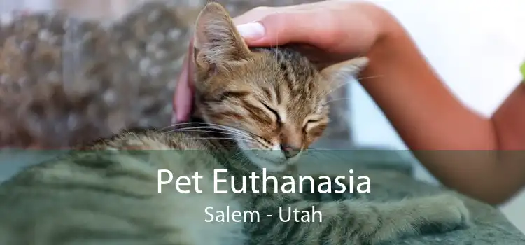 Pet Euthanasia Salem - Utah