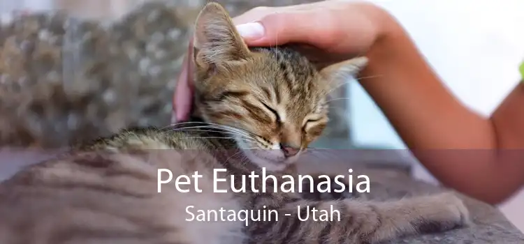 Pet Euthanasia Santaquin - Utah