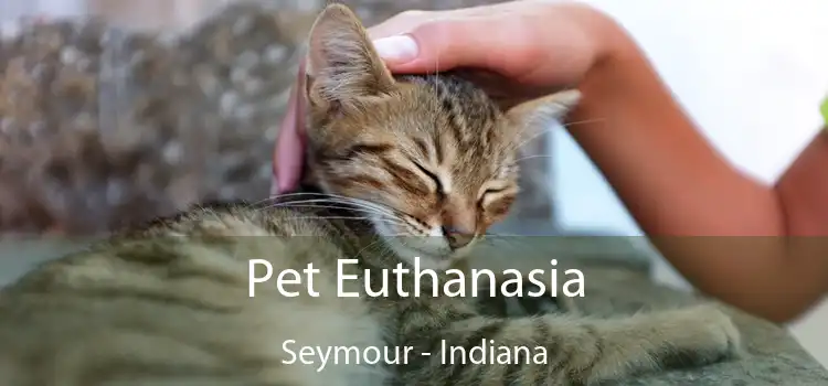 Pet Euthanasia Seymour - Indiana