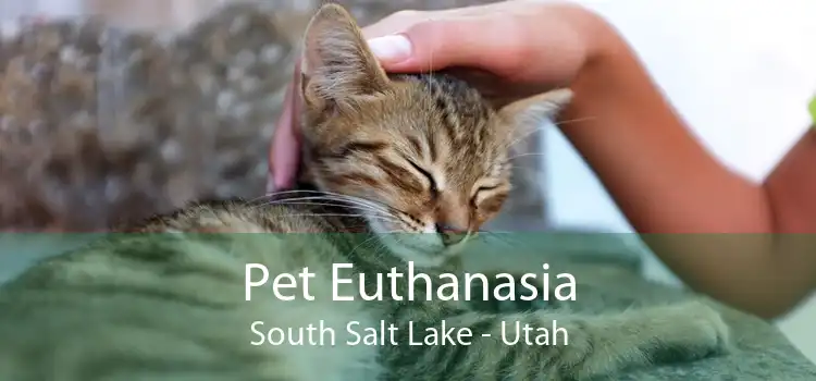 Pet Euthanasia South Salt Lake - Utah